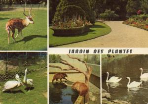 Jardin des Plantes