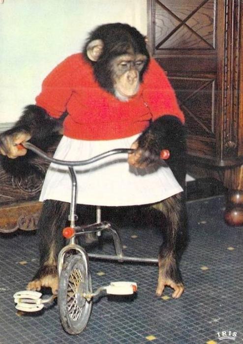 Sophie la reine de la pédale