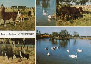 29 Parc de la Pommeraie