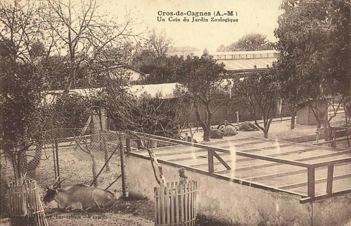 Un coin du Jardin Zologique