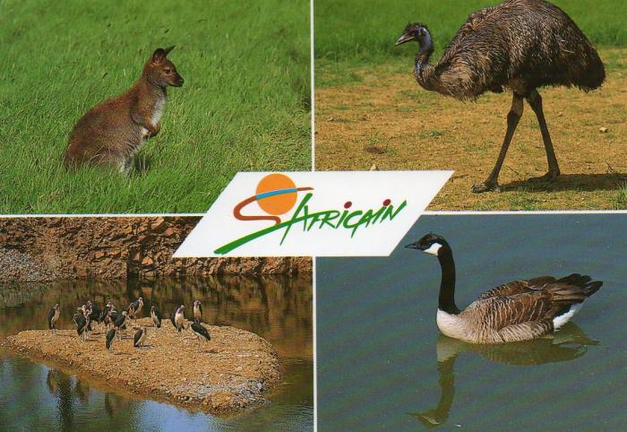 Planète Sauvage - 1993