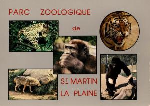 Jaguar - Tigre - Loup d’Europe - Alexis - Fatou