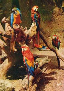 Souvenir du Zoo des Minières - 1973
