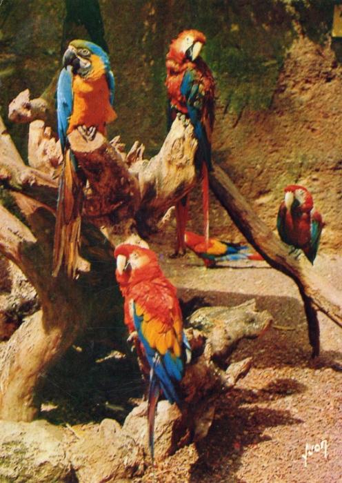 Souvenir du Zoo des Minières - 1973