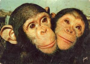 Souvenir du Zoo des Minières - 1968