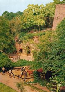Souvenir du Zoo des Minières