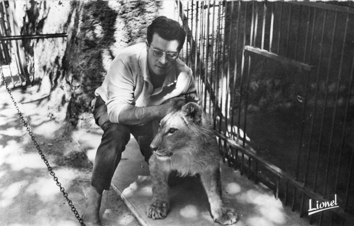 Zoo de Doué la Fontaine