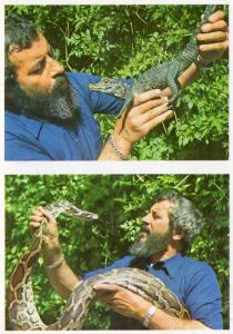 Louis Gay présentant un bébé crocodile et un Python molure - 1973