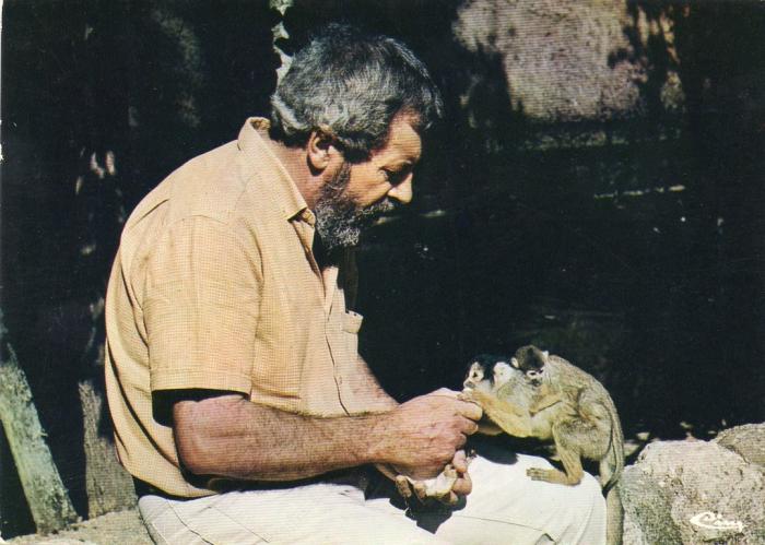 Zoo de Doué - Saïmiris en liberté
