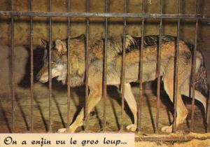Zoo des Minières