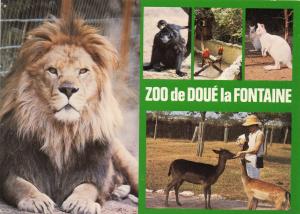 Zoo de Doué la Fontaine