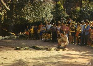 Souvenir du Safari Serpents