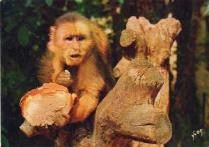 Souvenir du Zoo des Minières - 1978