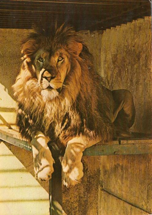 Refuge de l'Arche - 1985