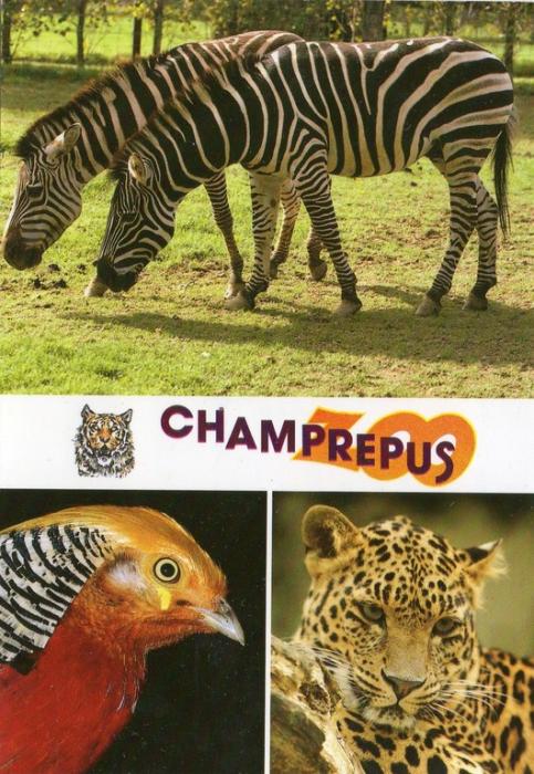 Parc Zoologique de Champrépus - 1989