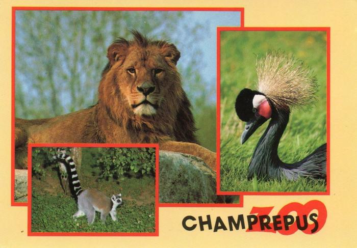 Lion, Grue couronnée, Maki catta - 1991