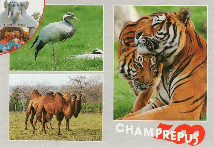 Parc zoologique de Champrepus - 1992