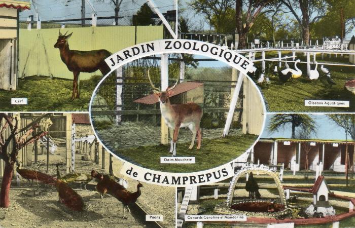 Jardin Zoologique de Champrépus