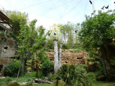 Volière euroéenne - 2023