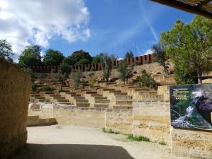 Vautours