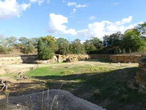 Vallée des rhinocéros