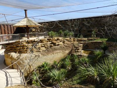 Volière africaine - 2023