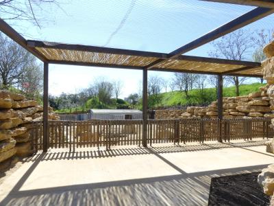 Gazelle de Mhorr - 2023