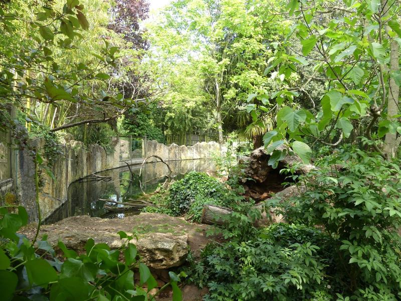 Loutre géante - 2023