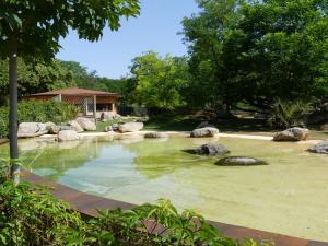 Tortue géante des Seychelles - Tortue radiée