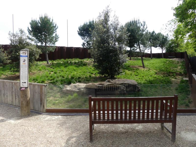 Souslick - Tortue grecque - 2023