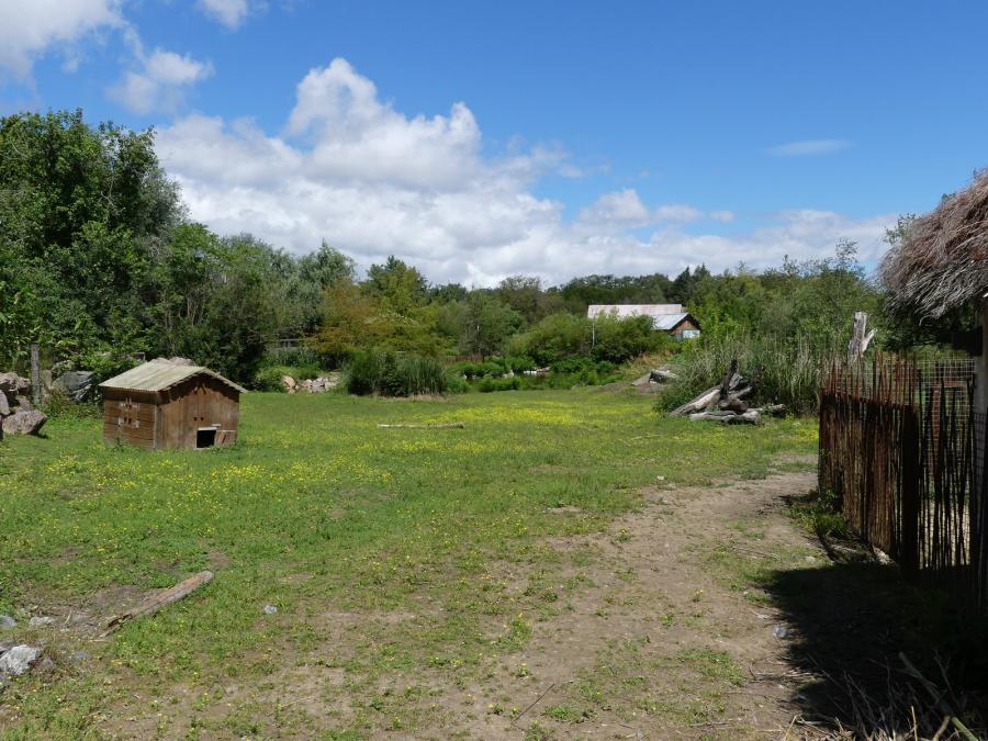 Pampa sud-américaine
