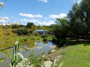 Pampa sud-américaine