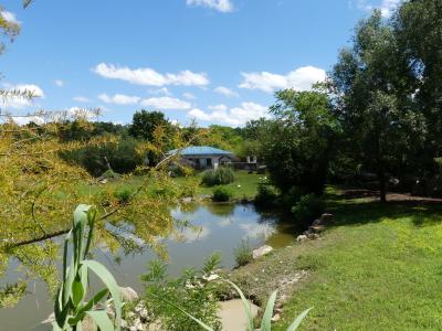 Pampa sud-américaine - 2020