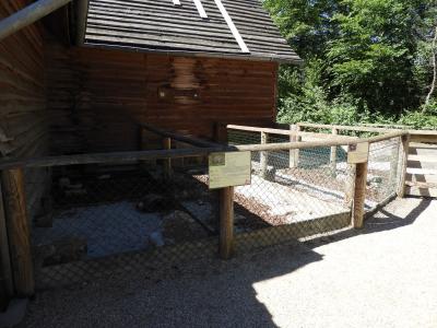 La Petite ferme - 2020