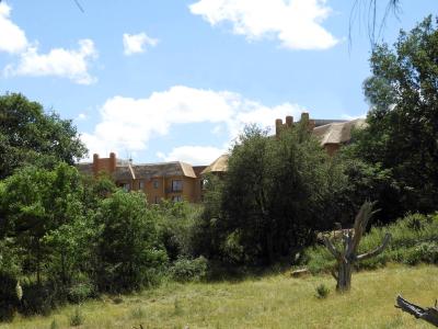 Plaine africaine - 2020