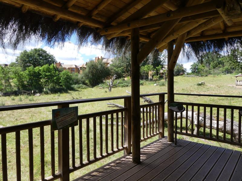 Plaine africaine - 2020