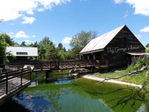 Alligator du Mississipi