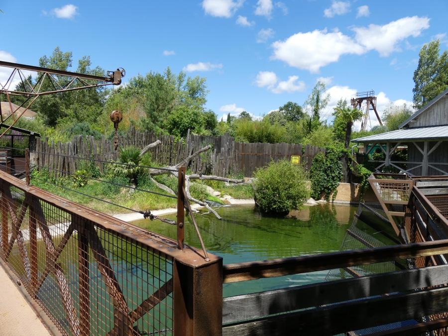 Alligator du Mississipi