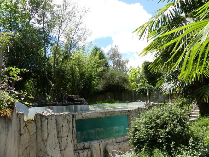 Loutre naine d'Asie - 2020