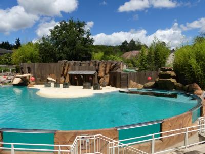 Otarie de Patagonie - 2020