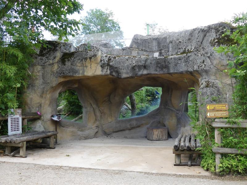 Panthère des neiges - 2020