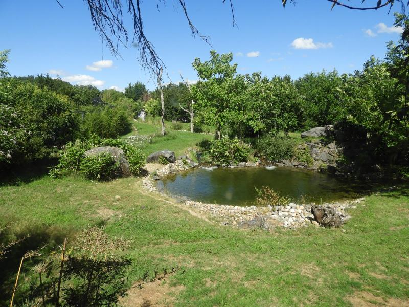 Tigre de Sumatra - 2020