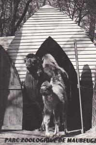 Parc zoologique