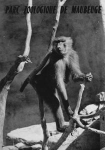 Parc Zoologique