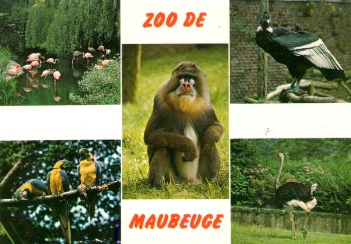 Le Zoo