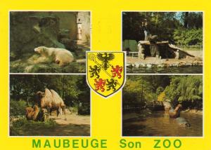 Le Zoo - 1987
