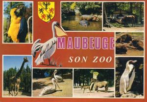 Maubeuge et son zoo
