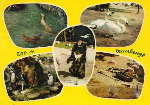 Les Phoques - Les Cygnes - Les Flamants - Les Pingouins - Les Ours - 1966