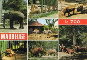 Le Zoo - 1977