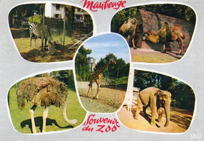 Le Zèbre - Les Chameaux - L'Autruche - La Girafe - L'Eléphant